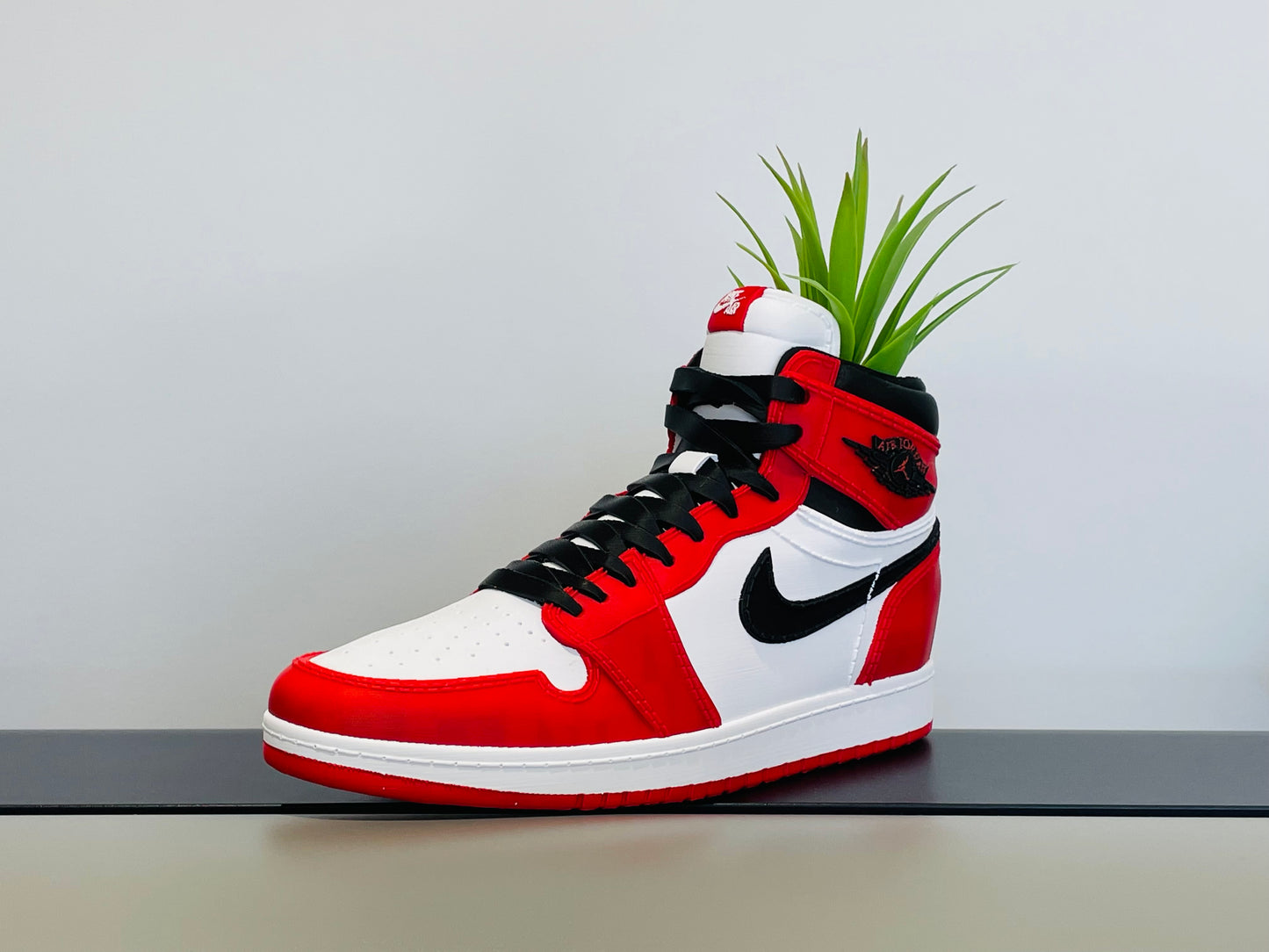 Jordan 1 Chicago full colour