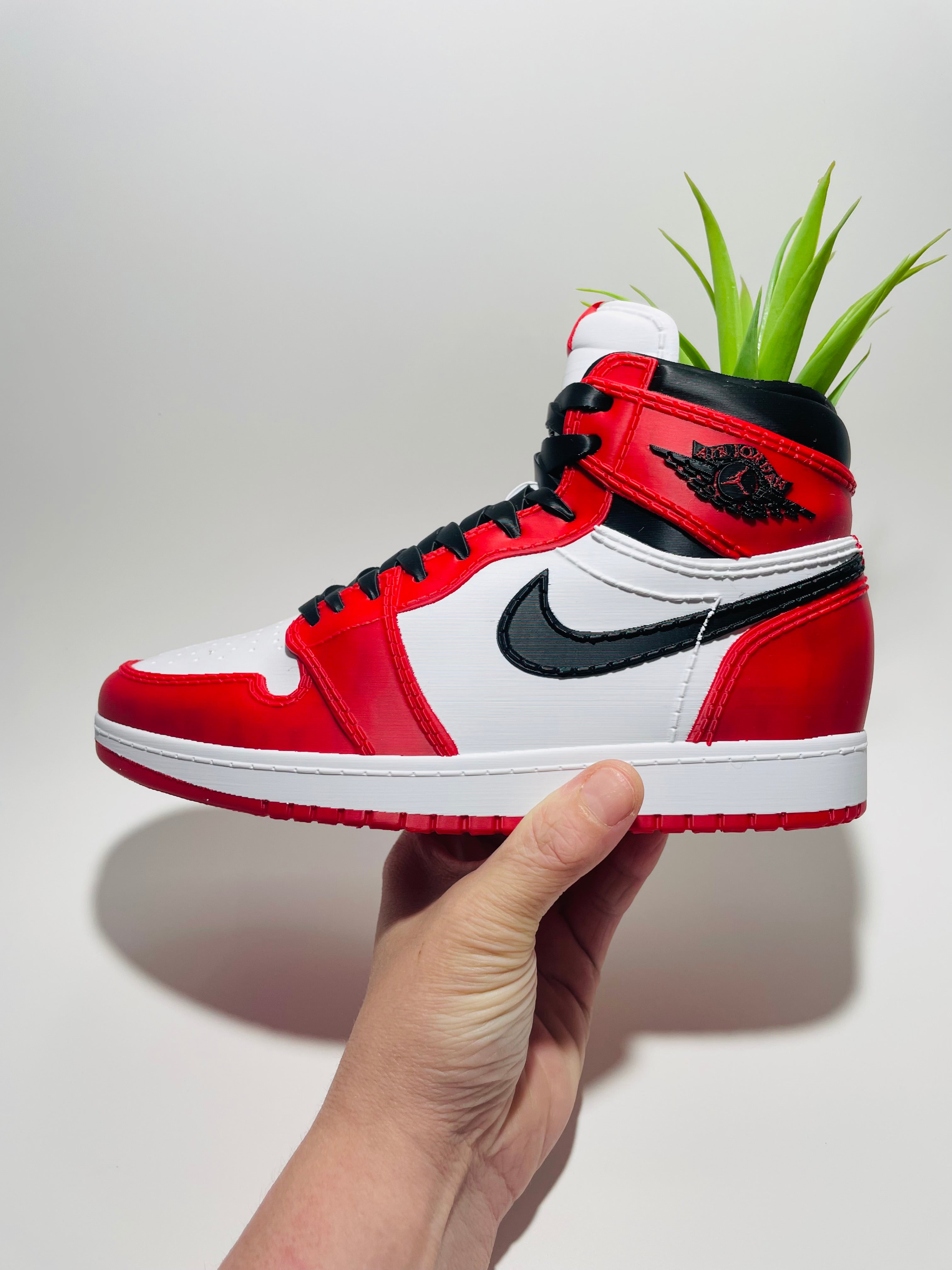 Jordan 1 Chicago full colour What Boxx